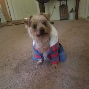 Meet your Posher, Aaliyah